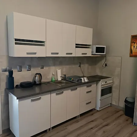 Dolni Zleb 124 Apartment Decin Exterior photo