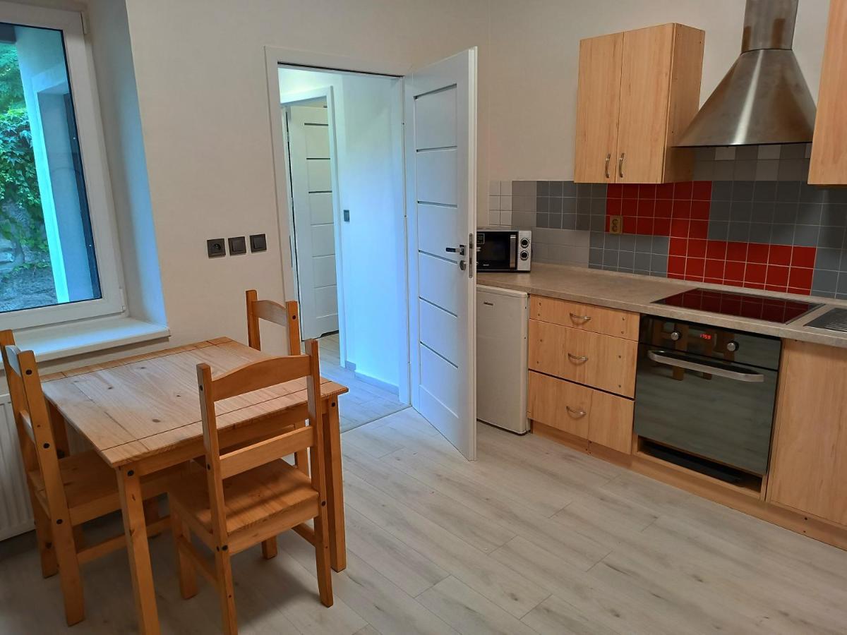 Dolni Zleb 124 Apartment *